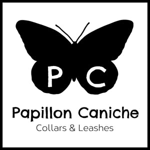 Papillon Caniche Collars and Leashes