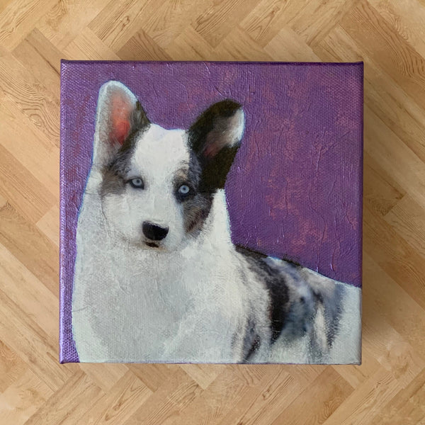 Dog Breeds Collage Series - 6" x 6" Collage Canvas | Home/Office Decor. Wall Art. Cocker.Corgi.Pomeranian