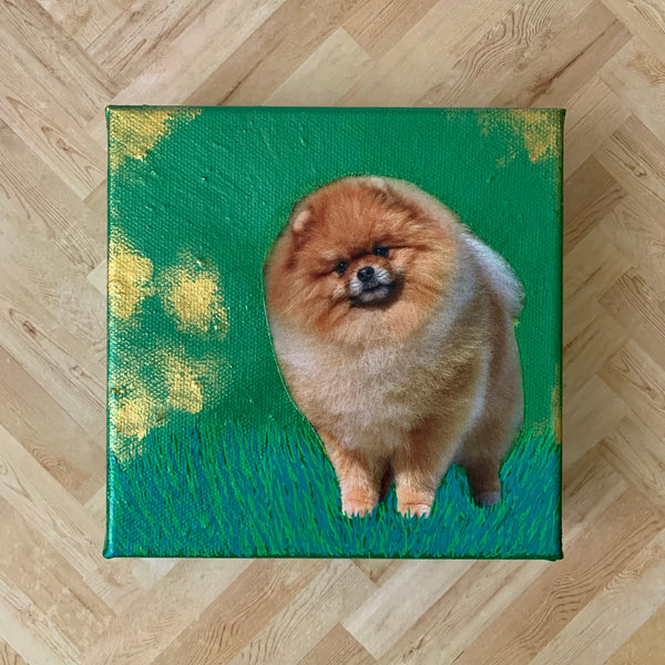 Dog Breeds Collage Series - 6" x 6" Collage Canvas | Home/Office Decor. Wall Art. Cocker.Corgi.Pomeranian