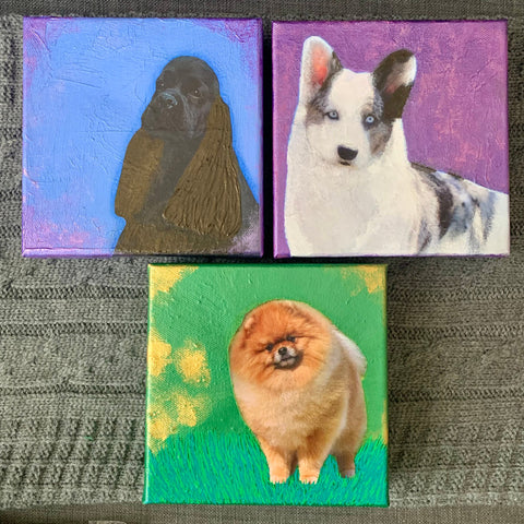 Dog Breeds Collage Series - 6" x 6" Collage Canvas | Home/Office Decor. Wall Art. Cocker.Corgi.Pomeranian