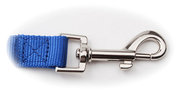 Skye Blue Nylon Dog Leash by Papillon Caniche