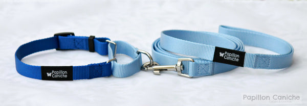 Martingale Collar & Leash Set (Color Options) by Papillon Caniche