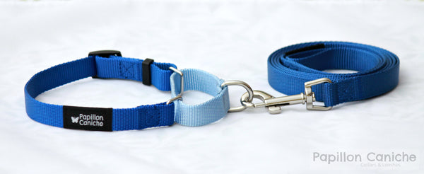 Martingale Collar & Leash Set (Color Options) by Papillon Caniche