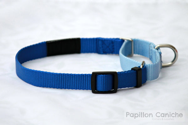 Pack of 10 Summer Skye Adjustable Martingale Dog Collar by Papillon Caniche