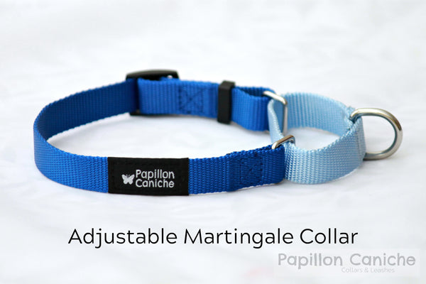 Martingale Collar & Leash Set (Color Options) by Papillon Caniche