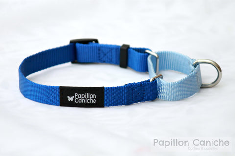 Summer Skye Adjustable Martingale Dog Collar by Papillon Caniche