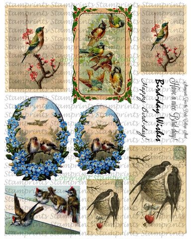 Digital Collage Sheet - For the Birds CS-06 (by Stamprints). Printable Vintage Images. Paper Crafts. Altered Art. Mixed Media