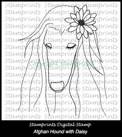 Afghan Hound with Daisy (TLS-1721) Digital Stamp. Cardmaking.Scrapbooking.