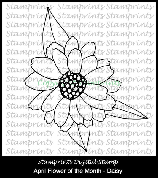April Flower of the Month - Daisy (TLS-1802) Digital Stamp. Cardmaking