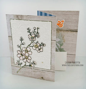 Customizable TriFold Potted Plants Handmade Greeting Card | The Leaf Studio