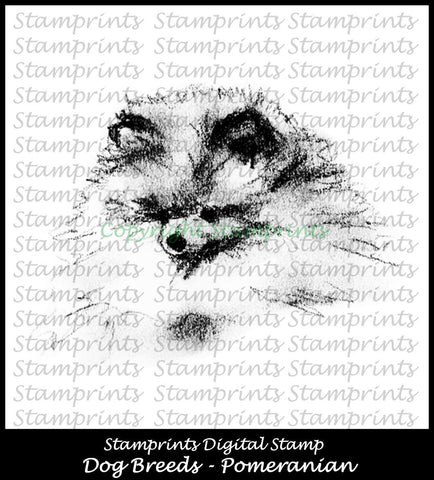 Digital Stamp: Dog Breeds - Pomeranian (by Stamprints)