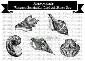 Digital Stamp Set - Vintage Seashells (by Stamprints)