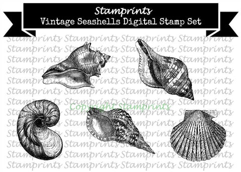 Digital Stamp Set - Vintage Seashells (by Stamprints)